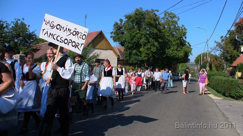 szureti_felvonulas_2011_256.jpg