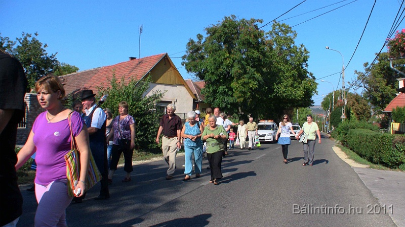 szureti_felvonulas_2011_258.jpg