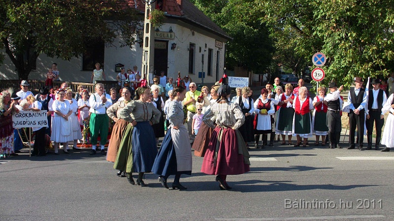 szureti_felvonulas_2011_259.jpg