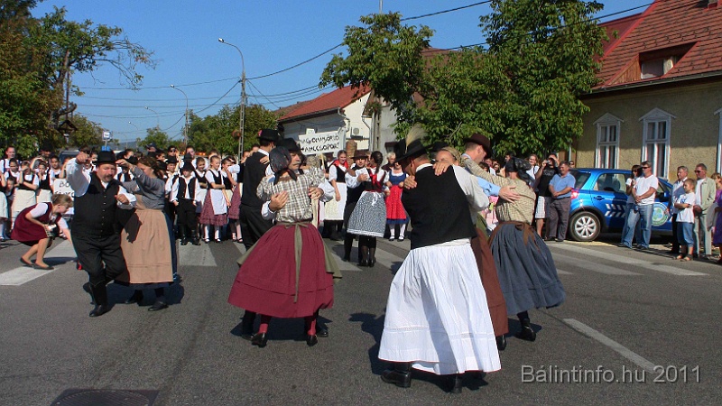 szureti_felvonulas_2011_261.jpg