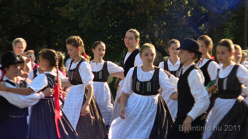 szureti_felvonulas_2011_272.jpg