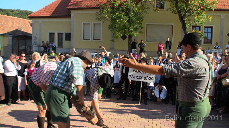 szureti_felvonulas_2011_277.jpg
