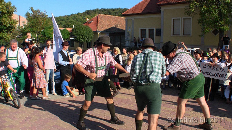 szureti_felvonulas_2011_279.jpg