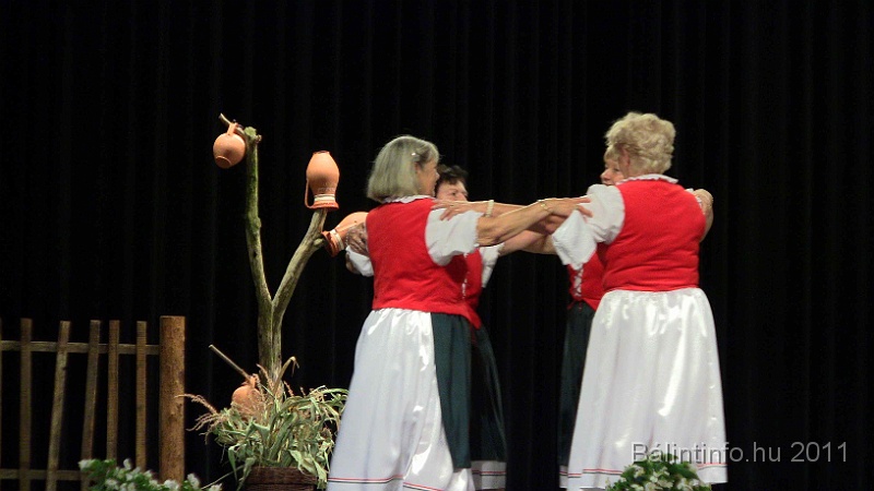 szureti_felvonulas_2011_289.jpg