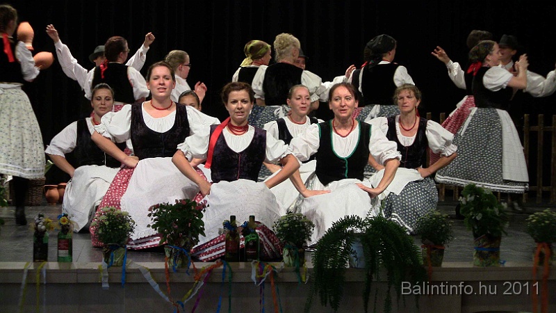 szureti_felvonulas_2011_329.jpg