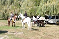 szureti_felvonulas_2011_006