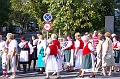 szureti_felvonulas_2011_043