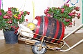 szureti_felvonulas_2011_121