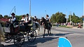 szureti_felvonulas_2011_237