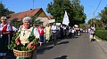 szureti_felvonulas_2011_254