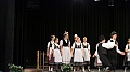 szureti_felvonulas_2011_313