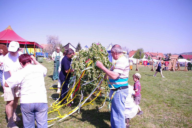 torokbalinti_varosi_majalis_2012_033.jpg