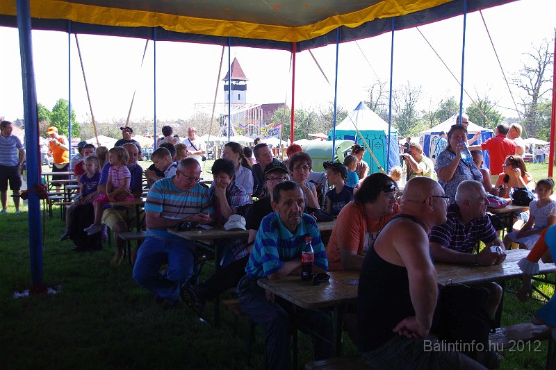 torokbalinti_varosi_majalis_2012_073.jpg
