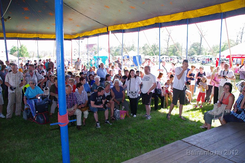 torokbalinti_varosi_majalis_2012_082.jpg