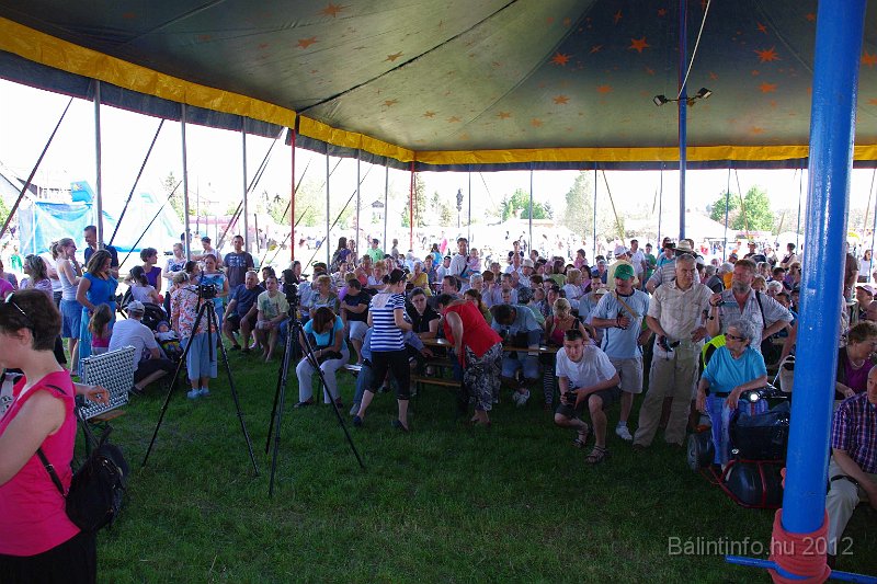 torokbalinti_varosi_majalis_2012_083.jpg