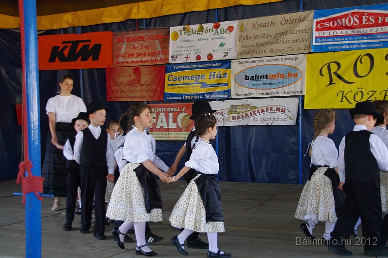 torokbalinti_varosi_majalis_2012_089.jpg