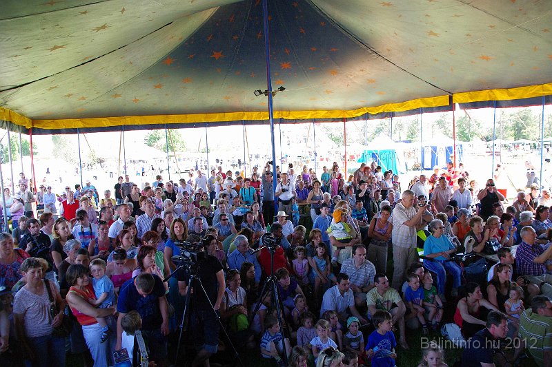 torokbalinti_varosi_majalis_2012_100.jpg