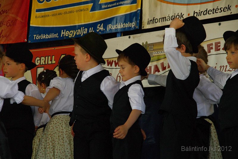 torokbalinti_varosi_majalis_2012_106.jpg