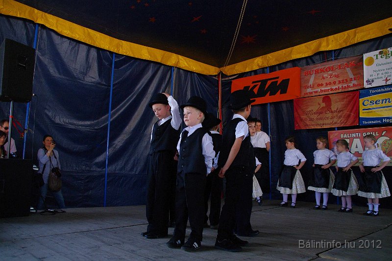 torokbalinti_varosi_majalis_2012_119.jpg