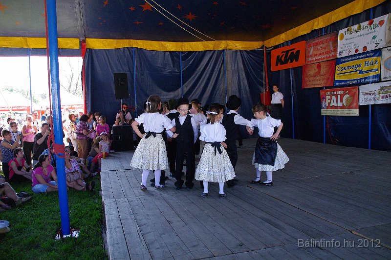 torokbalinti_varosi_majalis_2012_120.jpg