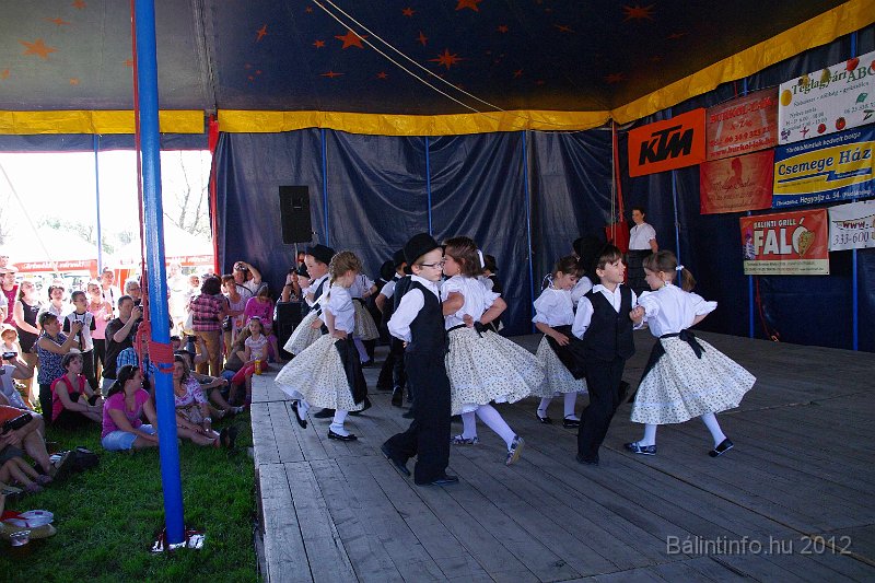 torokbalinti_varosi_majalis_2012_121.jpg