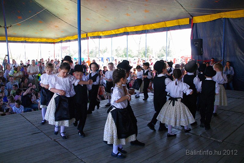 torokbalinti_varosi_majalis_2012_124.jpg