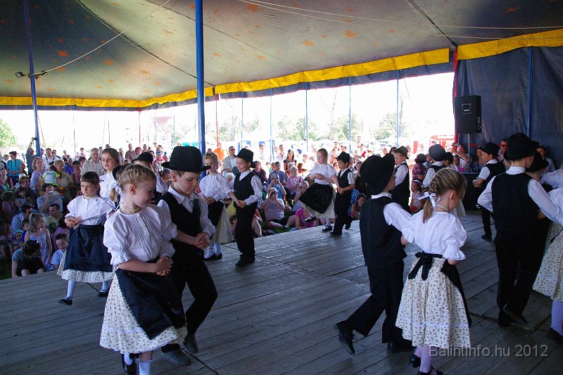 torokbalinti_varosi_majalis_2012_128.jpg