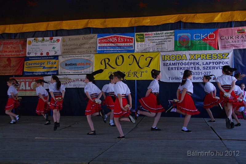 torokbalinti_varosi_majalis_2012_158.jpg