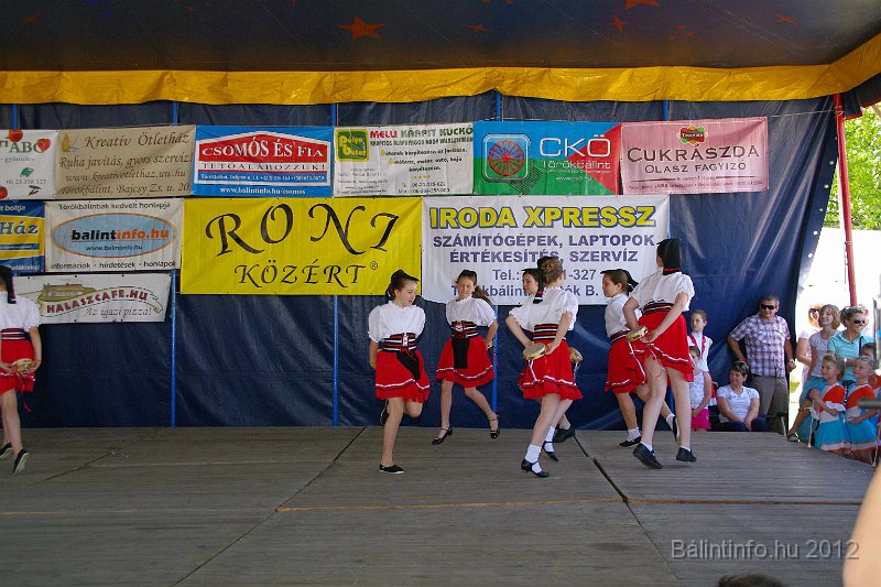 torokbalinti_varosi_majalis_2012_159.jpg