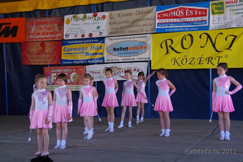 torokbalinti_varosi_majalis_2012_172.jpg
