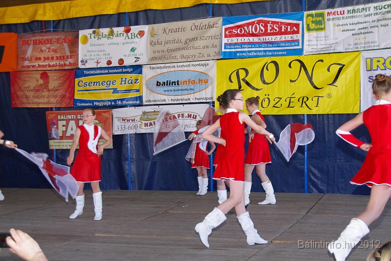 torokbalinti_varosi_majalis_2012_173.jpg