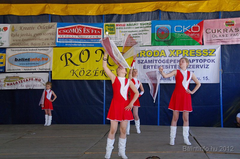 torokbalinti_varosi_majalis_2012_175.jpg