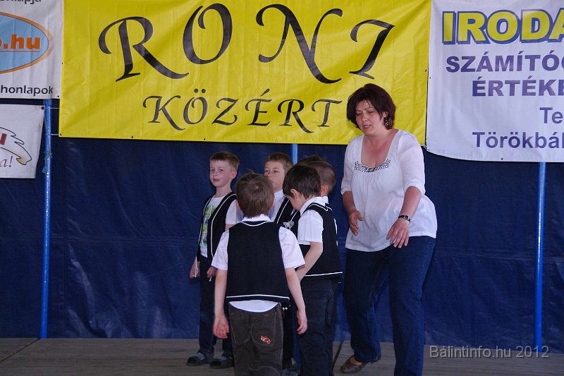 torokbalinti_varosi_majalis_2012_179.jpg