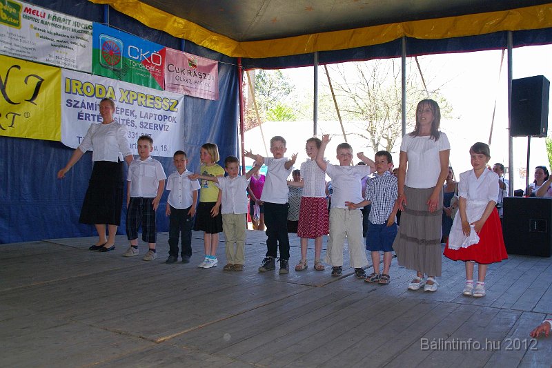 torokbalinti_varosi_majalis_2012_189.jpg