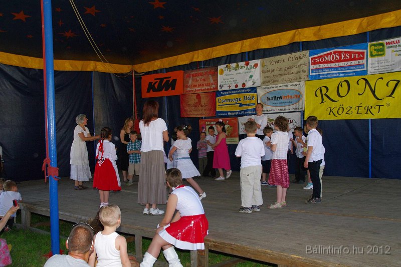 torokbalinti_varosi_majalis_2012_190.jpg