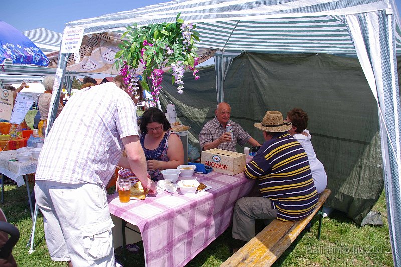 torokbalinti_varosi_majalis_2012_212.jpg