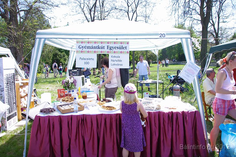 torokbalinti_varosi_majalis_2012_238.jpg