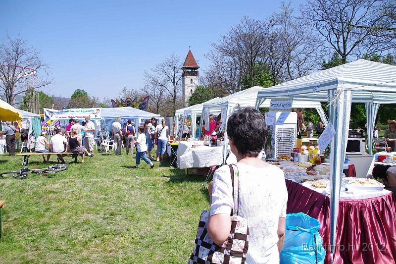torokbalinti_varosi_majalis_2012_241.jpg