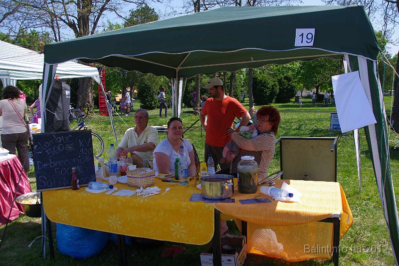 torokbalinti_varosi_majalis_2012_243.jpg