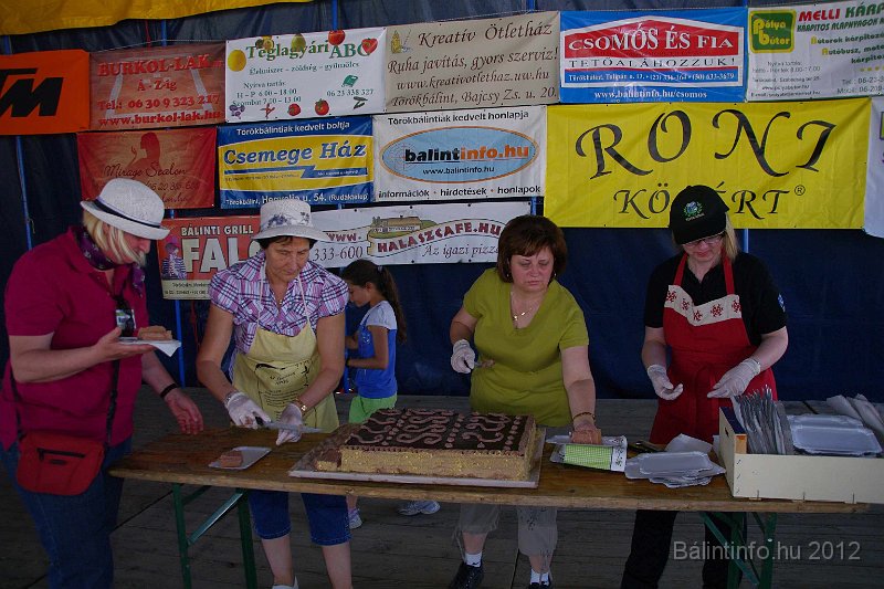 torokbalinti_varosi_majalis_2012_281.jpg