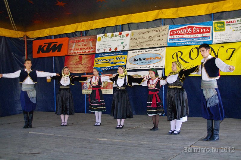 torokbalinti_varosi_majalis_2012_313.jpg