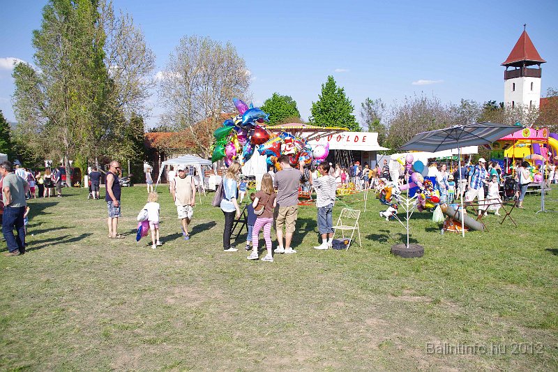 torokbalinti_varosi_majalis_2012_323.jpg