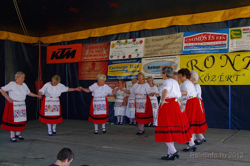 torokbalinti_varosi_majalis_2012_326.jpg