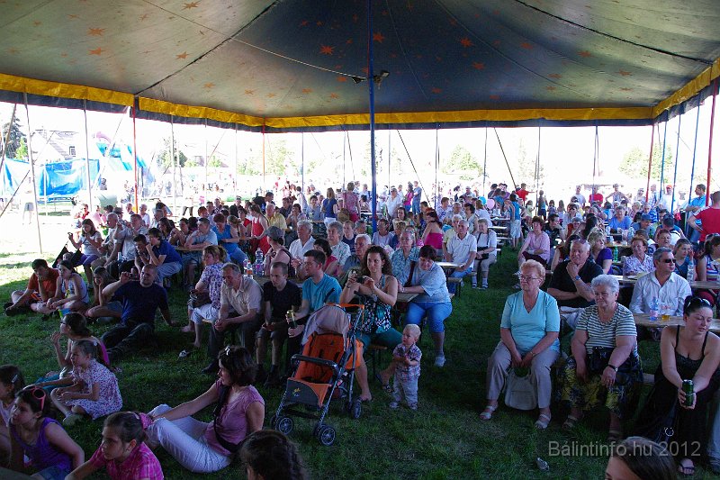 torokbalinti_varosi_majalis_2012_329.jpg