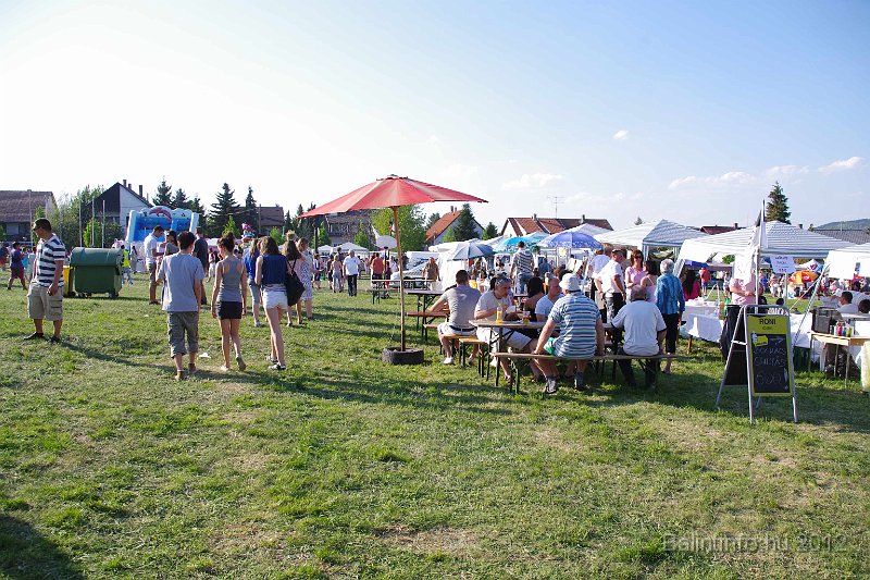 torokbalinti_varosi_majalis_2012_335.jpg