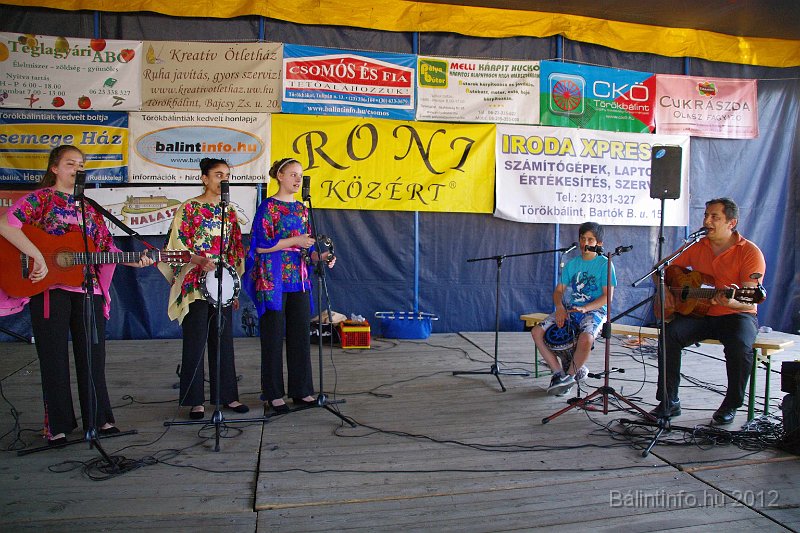 torokbalinti_varosi_majalis_2012_343.jpg