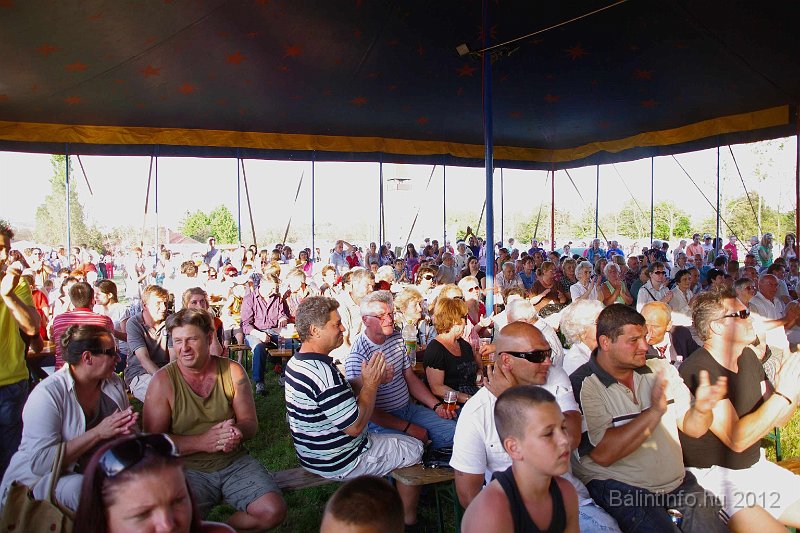torokbalinti_varosi_majalis_2012_348.jpg
