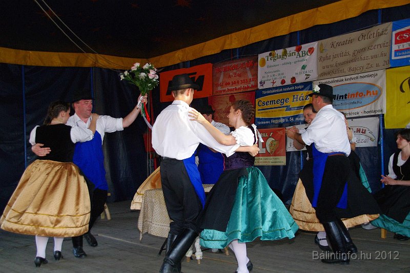 torokbalinti_varosi_majalis_2012_357.jpg