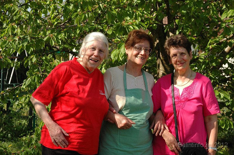 torokbalinti_varosi_majalis_2012_478.jpg