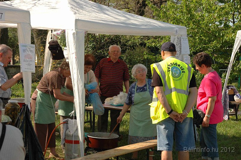 torokbalinti_varosi_majalis_2012_482.jpg